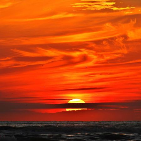 Ferienhaus Geniessen Am Meer Mit Wellnesszugang Egmond aan Zee Kültér fotó